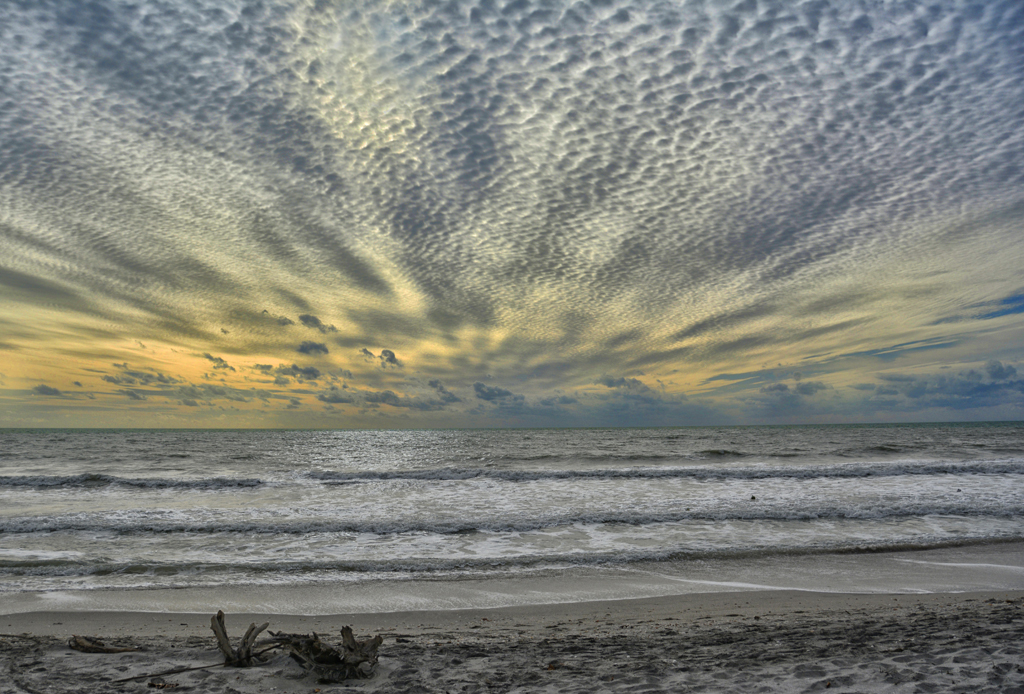 Realistic Comp In Class A By Terry Russo For Glorious OCT-2018.jpg